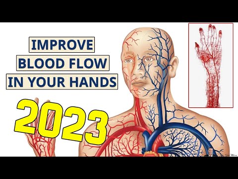 How To Increase Blood Flow To Hands And Fingers How To Increase Blood Flow To Hands And Fingers