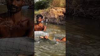 🙄😱திடீரென்று வலையில் சிக்கிய ராட்சத வெள்ளை கொடுவா மீன் #fishing #village