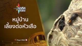 หมู่บ้านเลี้ยงต่อหัวเสือ : ทุกทิศทั่วไทย (21 มิ.ย. 64)