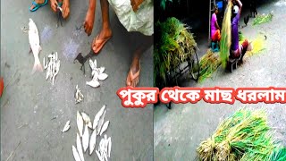 গ্রামের বাড়িতে কর্মব্যস্ত একটি দিন। পুকুর থেকে মাছ ধরলাম। গাছ থেকে সুপারি পাড়লাম।