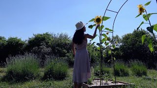 MY SUSTAINABLE GARDEN \u0026 POTAGER TOUR in june - Daily life vlog