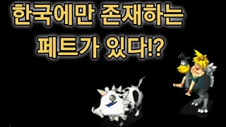 석기학개론)페트설명회-부비류편