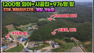 (가격인하 1억 9천)개발가능한 전체 모두 계획관리지역 1200평 임야, 시골집, 976밭 모두 포함! 전라도 임야매매