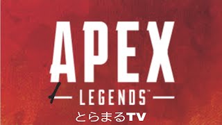 PC APEX  お久しぶりの沼ランク　床ペロプラチナ～