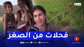 شقيقات ثلاث يحملن مسؤولية فلاحة أرض والدهن المُـ.ـتوفي  بباتنة