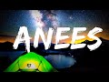 Sun and Moon - Anees (Lyrics) Lyrics Video