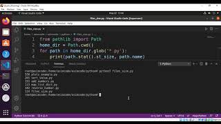 Python script to get the file size