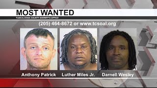 Tuscaloosa's Most Wanted, Sept. 16, 2020