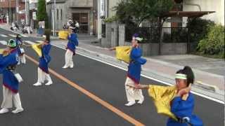 弥生桜／仲町・本町会場（2nd）／第12回坂戸よさこい