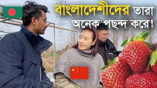 Day 3 - Strawberry Field in China - বিশাল স্ট্রবেরি বাগানে আমরা 🇨🇳