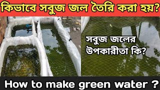 কিভাবে সবুজ জল তৈরি করা হয়//How to make green water//সবুজ জলের উপকারীতা কি?#aquarium #greenwater