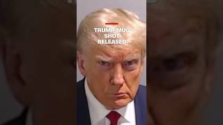 Trump Mug Shot Released