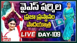 🔴LIVE :  YS షర్మిల పాదయాత్ర 109వ రోజు  | YS Sharmila Praja Prasthanam Padayatra  | Tolivelugu TV