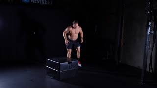 Burpee Box Jump Over