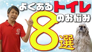 【犬のしつけ】トイレのお悩みを８つご紹介！