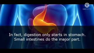 AMAZING PSYCHOLOGICAL FACTS ABOUT HUMAN STOMACH ( Part 7).