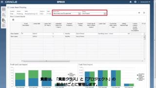 概要：Oracle Enterprise Planning and Budgeting Cloud のCapital