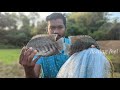 karimeen കരിമീൻ ചാകര വെള്ളം കുടിയപ്പോൾ വല വീശാൻ പോയതാ   traditional net casting kerala river