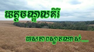 ទេសភាពខេត្តមណ្ឌលគិរី|Mondolkiri Province,CAMBODIA