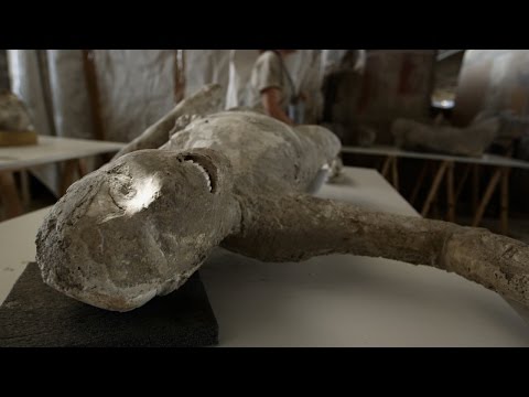 What is the rising action of the dog of Pompeii?