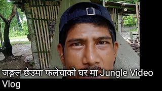 Jungle Yatra: Exploring Kumarkhata's Fleeced Forests