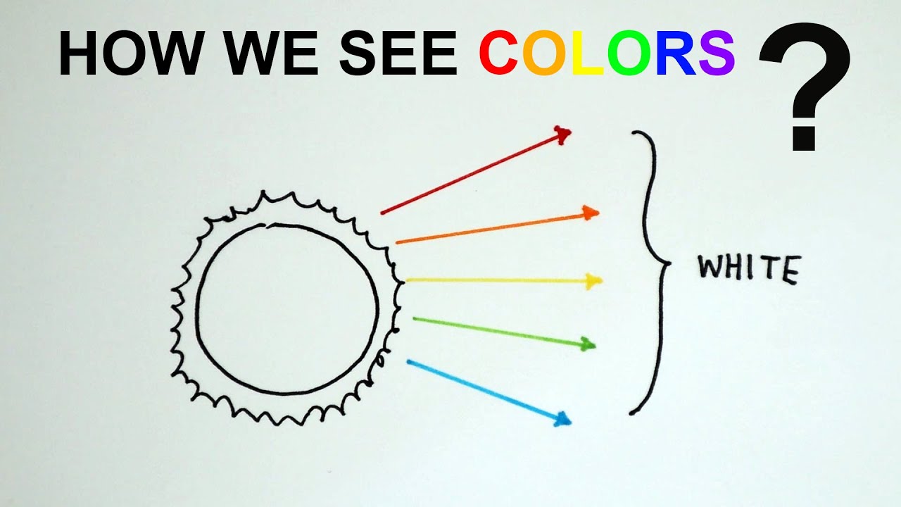 How Do We See Colors? Reflection Of Colours GCSE Physics - YouTube