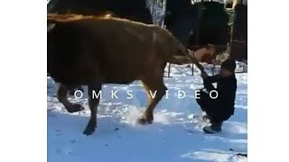 Омкс видео  .Кыргызча приколдор 😂😃