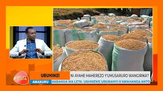 Amaherezo y’umusaruro wangirika ni ayahe? | Ese nyirabayazana ni nde? | #WARAMUTSE_RWANDA