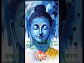 भगवान बुद्ध ने बताई वक्त की कीमत। lord buddha told the value of time. youtubeshorts lordbuddha563.