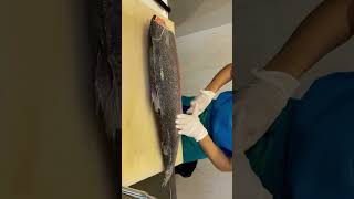 cooking salmon/サーモンの解体を見学 #shorts #salmon #cooking #sashimi #刺身