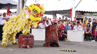 2015 Traditional Lion Dance Competition - 文丁軍警(龍藝)武術龍獅團