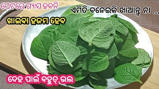 ଔଷଧୀୟ ଗୁଣରେ ଭରପୁର୍ ଜୁଆଣି ପତ୍ର‼️ଏମିତି ଵନେଇକି ଖାଆନ୍ତ୍ଵ ‼️Ajwain Leaves Fry@healthyleavefryrecipe