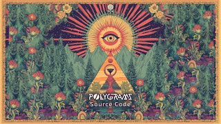 Polygrams - Source Code (Original Mix)