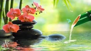 Soothing Relaxation Music - Relaxing Piano Music, Sleep Music, Water Sounds, Peaceful, Meditation