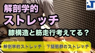 本当に正しく筋肉のストレッチできてる？~下腿三頭筋ストレッチ~