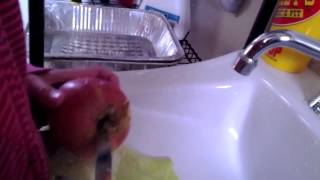 Cooking 101 With Grace - Episode 1: Preparing an Apple