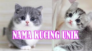 Nama - Nama Kucing Jantan dan Betina Yang Mudah Diingat beserta artinya