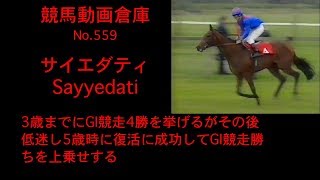 【競馬】サイエダティ　Sayyedati【No 559】