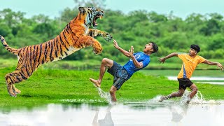 Tiger Attack Man in Forest | Royal Bengal Tiger Attack Fun Made Movie part 3