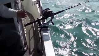 賓利號 2014 第一斑 grouper fishing