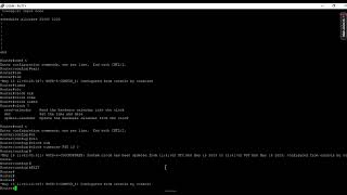 Cisoc LTE Configuration | DMVPN mGRE over IPSec Configuration