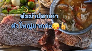 ต้มยำปลาเก๋าโล700 อร่อยจนหยดสุดท้าย ดีที่ก้างไม่ติดคอ🤣😋👍👍👍#ปลาหลี่พากินพาเที่ยว