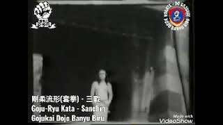 剛柔流形(套拳) - 三戰 u-Ryu Kata - SanchinGjkai Dojo Banyu Biru