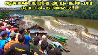 ആമസോണിലെ ഏറ്റവും വലിയ പാമ്പ്!😱🐍Biggest Snakes Caught On Camera Malayalam - Storify