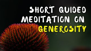 Generosity Beyond Limits | On-The-Go Meditation Guided by Brother Phap Huu