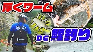 実験！浮くワームで鯉つれるん⁉️