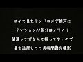 ど素人がアンドロメダ銀河を撮影してみた