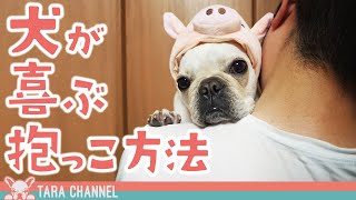 【初心者必見】犬の抱っこ方法を紹介！抱っこ嫌いを直すコツ【フレンチブルドッグ】