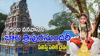 బాలా త్రిపుర సుందరి ఆలయం || Tripuranthakam || bala tripura sundari temple #telugubatasari