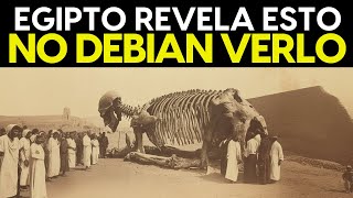 ¡Descubre el Secreto que Está Revolucionando Egipto!